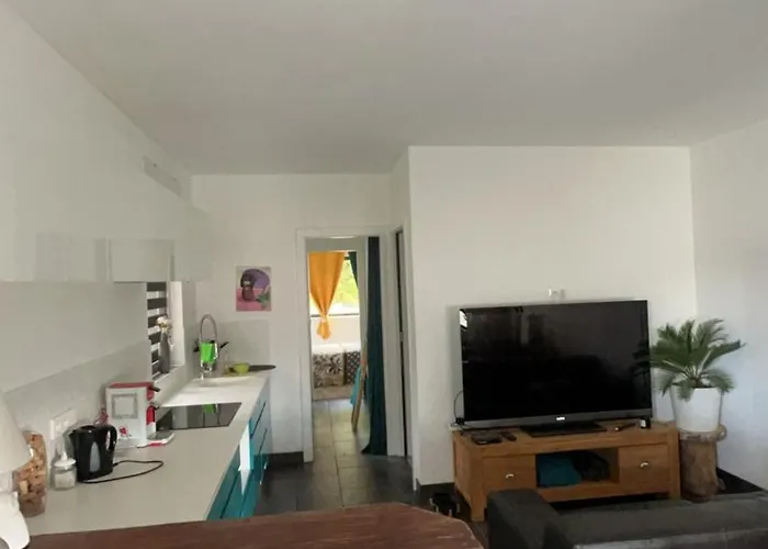 Appartement En Lisiere De Foret