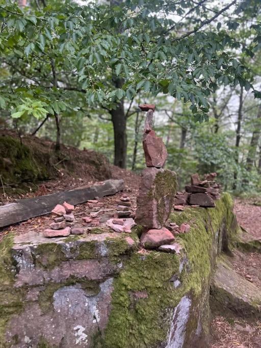 En Lisiere De Foret Apartment Wingen-sur-Moder